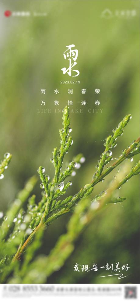 源文件下載【雨水海報】編號：52990014754159199