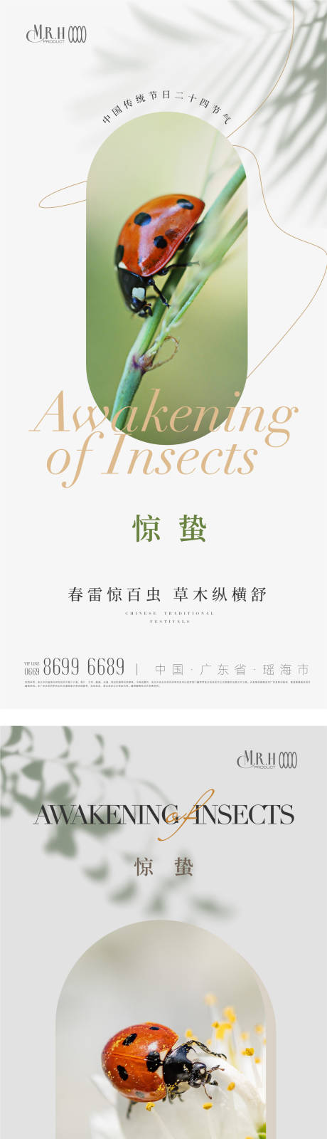 源文件下载【昆虫简约惊蛰节气海报】编号：76400014986445916
