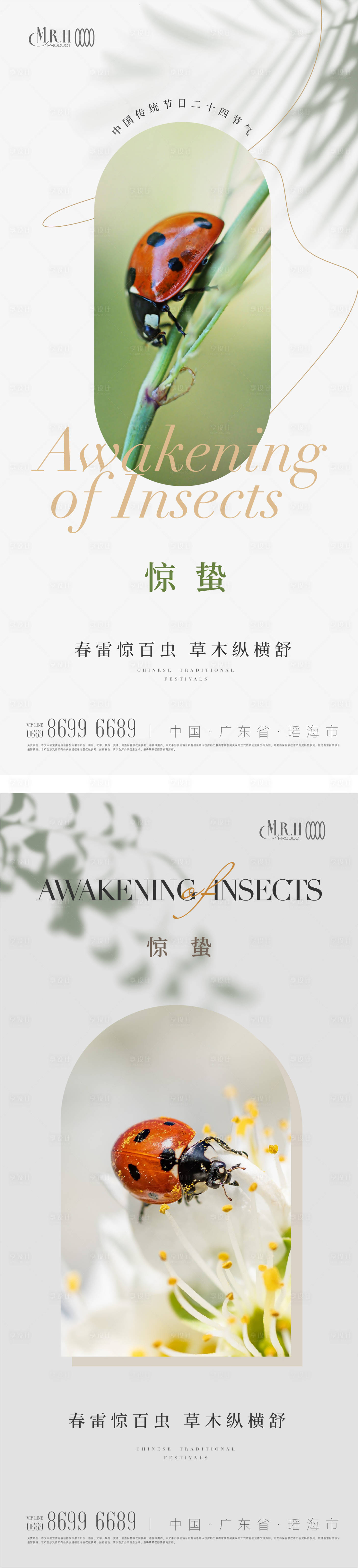源文件下載【享設計】搜索編號：76400014986445916【昆蟲簡約驚蟄節氣海報】