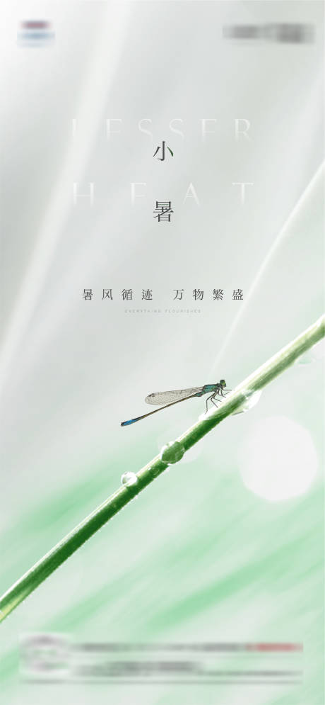 源文件下载【小暑蜻蜓节气海报】编号：28590014824806497