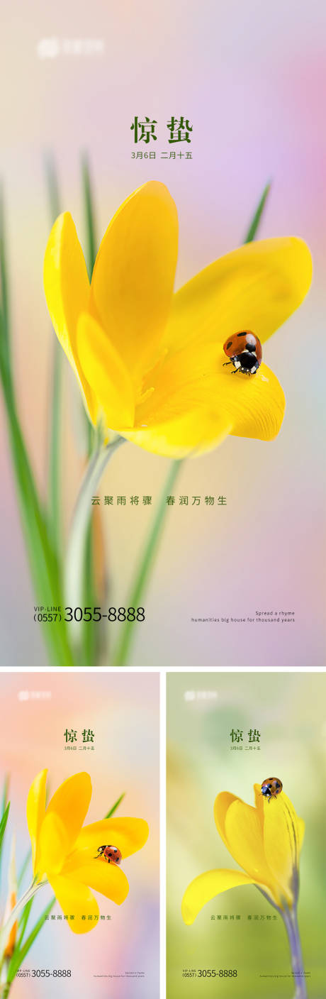 源文件下载【惊蛰 】编号：74120014904879256