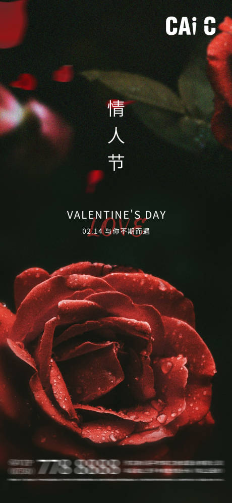 源文件下载【情人节玫瑰海报】编号：98210014681747276