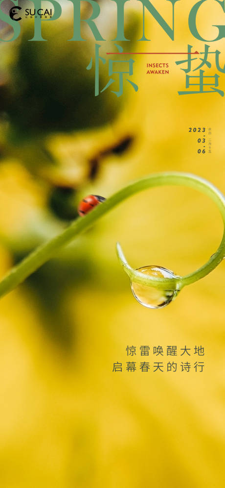 源文件下载【惊蛰海报】编号：86700014942963321