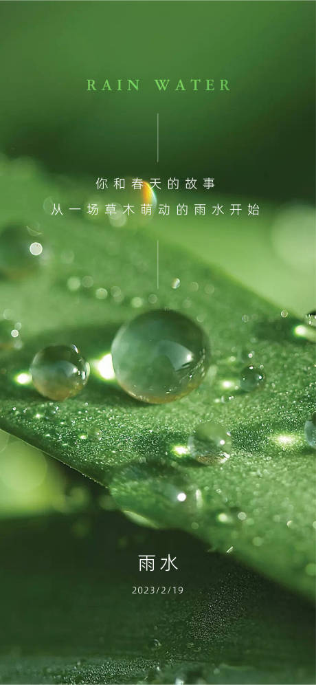 雨水海报