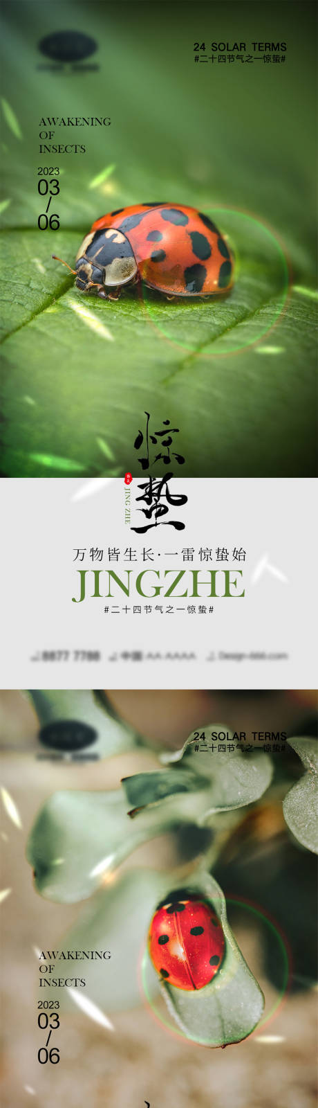 源文件下载【惊蛰节气海报】编号：64870014689242921