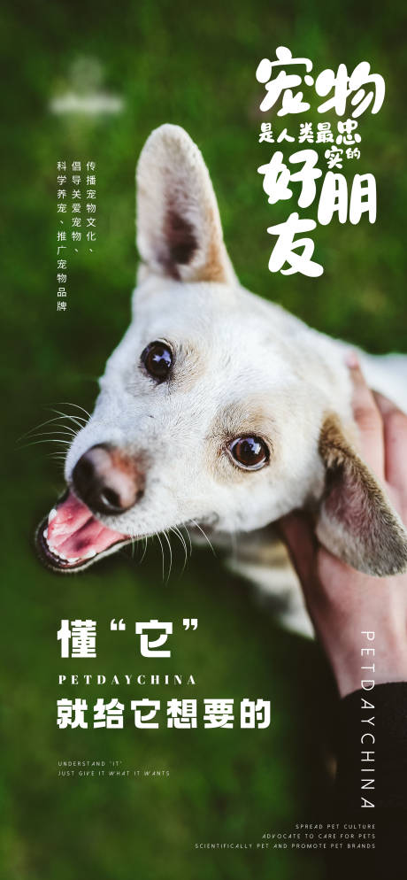 源文件下载【中国宠物文化节简约海报】编号：63080014481491744