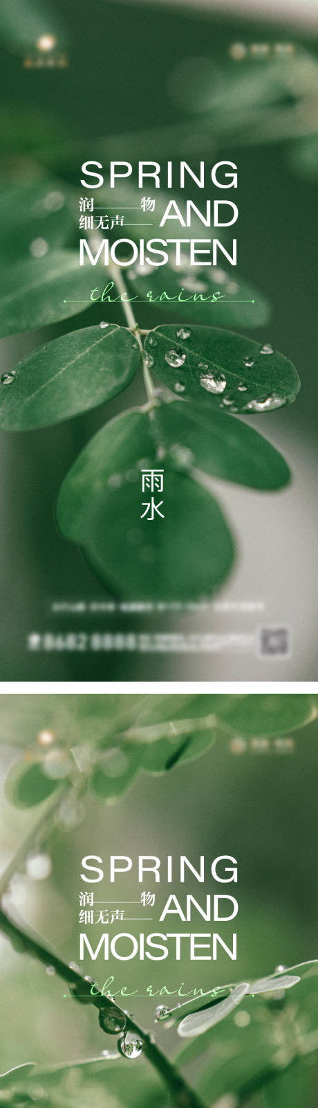 源文件下载【雨水海报】编号：20230216130746545