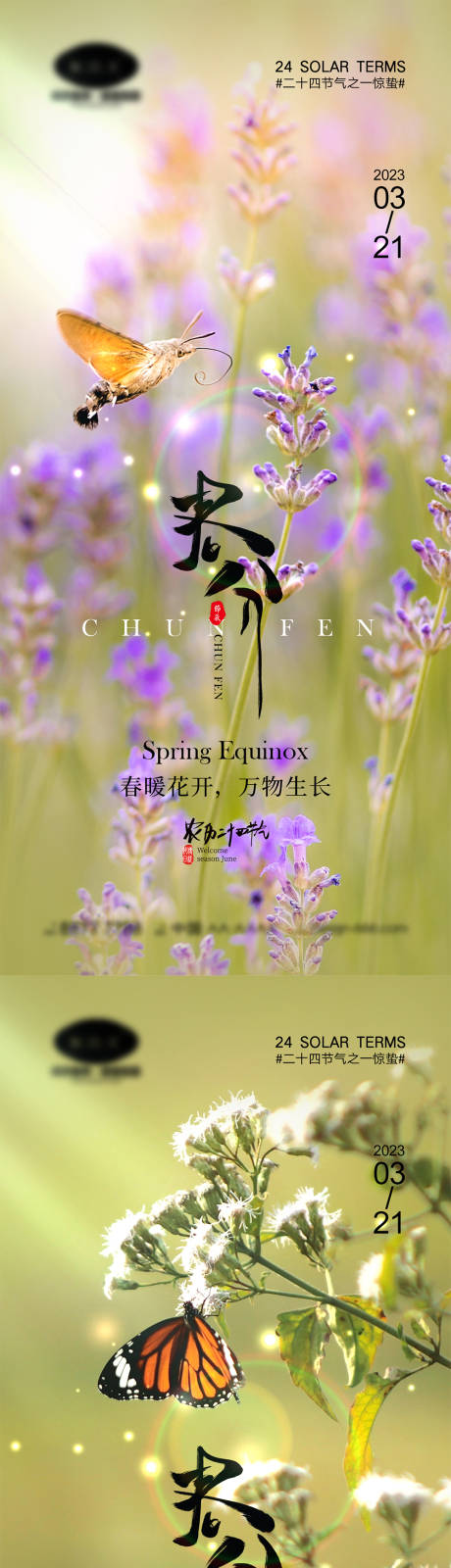 源文件下载【享设计】搜索编号：83780014642124423【春分节气海报】