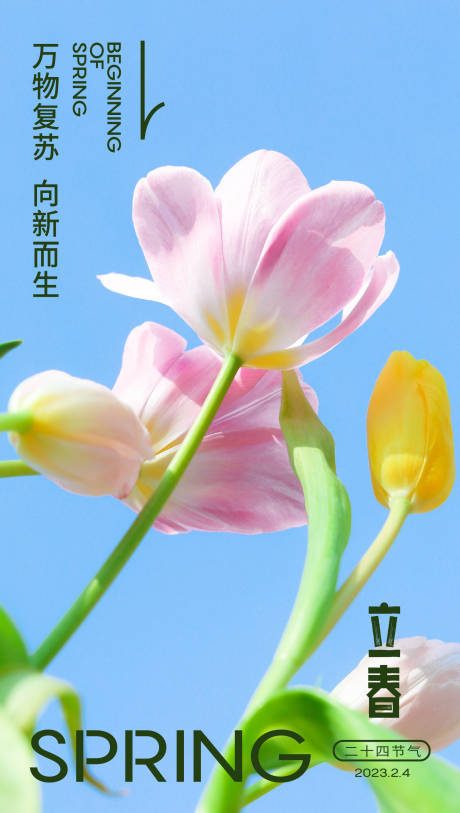 源文件下载【立春海报】编号：71190014484637167