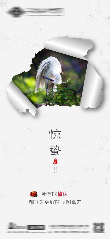 源文件下载【惊蛰海报】编号：78640014897786097