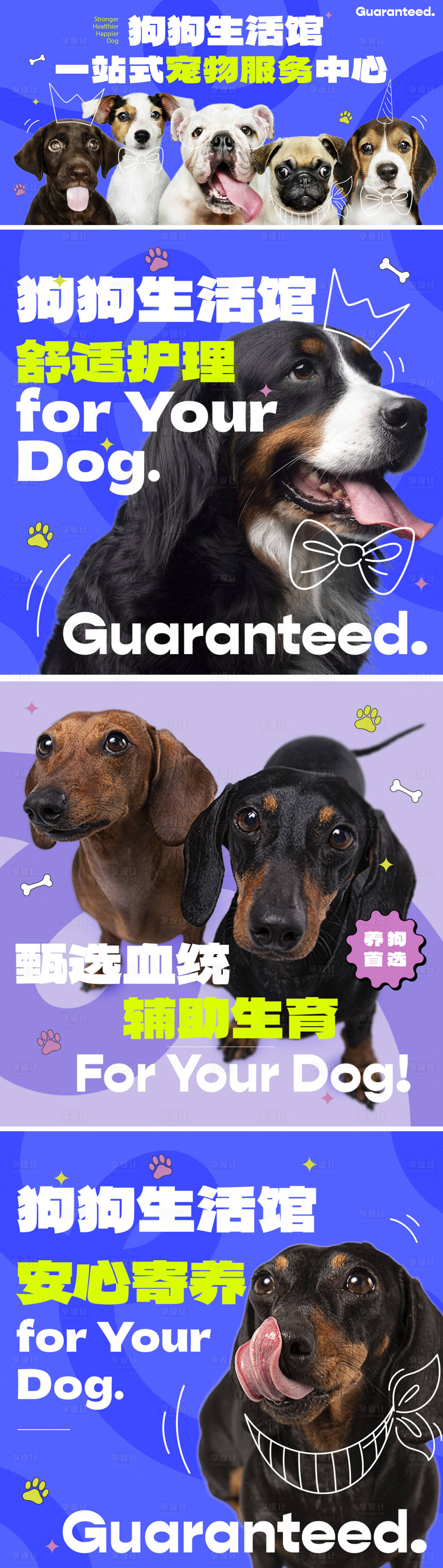 源文件下載【享設計】搜索編號：85570014980544412【狗狗生活館海報】