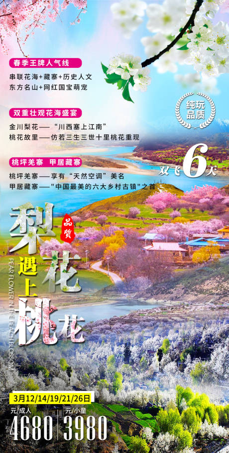 源文件下载【西藏林芝桃花沟旅游海报】编号：20230214211534175