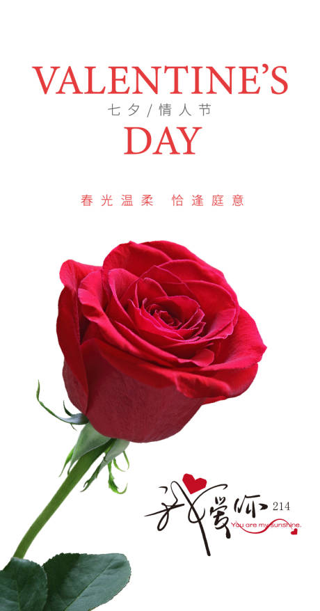 源文件下载【情人节简约海报】编号：89430014802262040
