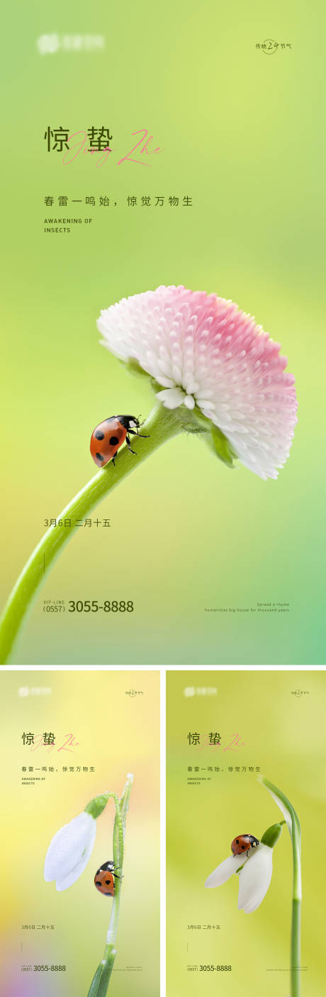 源文件下载【惊蛰 】编号：33840015041983279