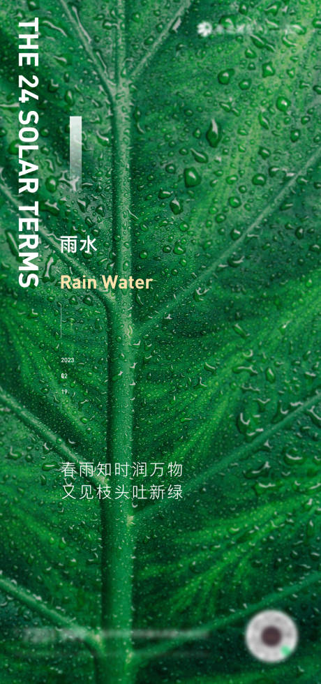 雨水节气春季海报-源文件【享设计】