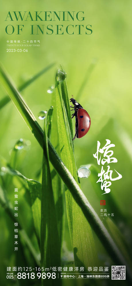 源文件下载【享设计】搜索编号：56350014677396622【惊蛰节气海报】