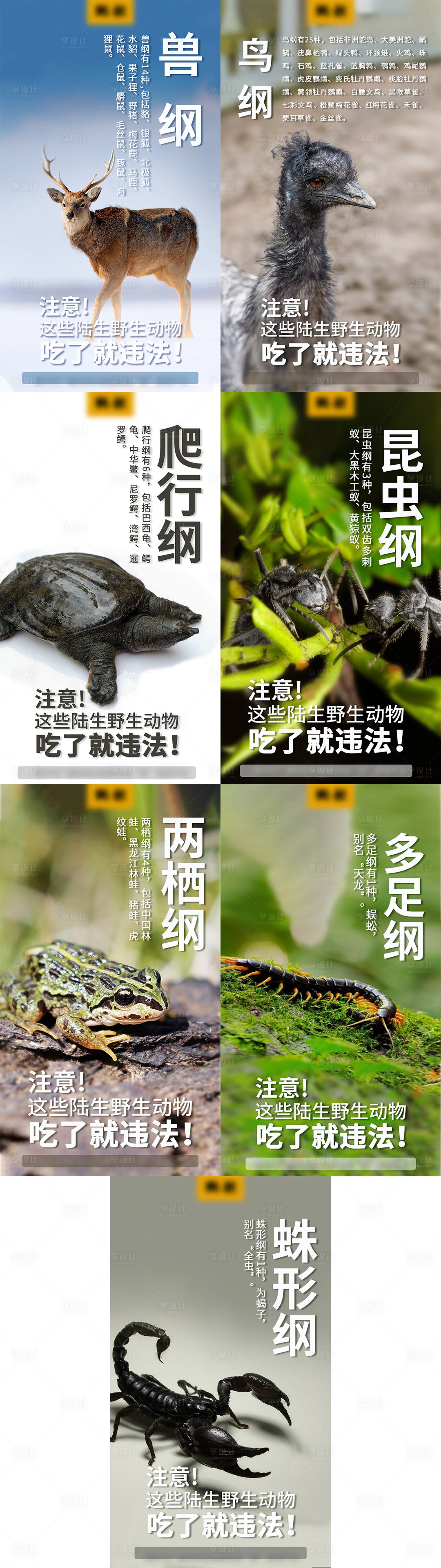 源文件下载【保护野生动物海报】编号：38890014983802051