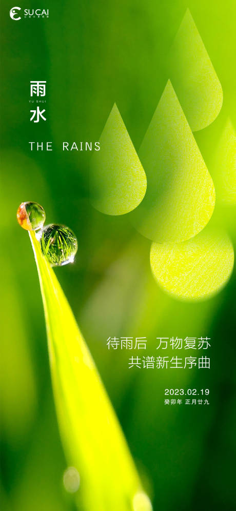 源文件下载【雨水海报】编号：14180014537654631