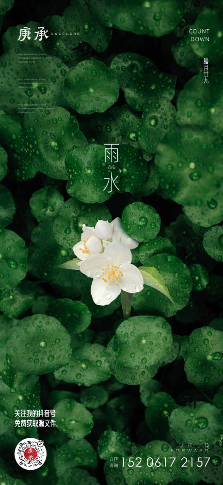 源文件下载【雨水绿叶节气海报】编号：48100014802399373