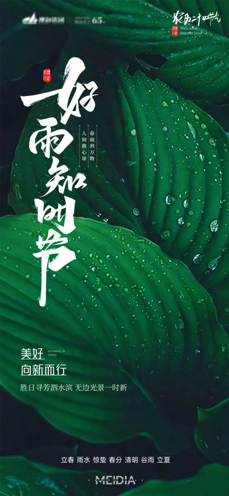 源文件下载【雨水海报】编号：64910014538002612