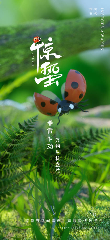 源文件下载【享设计】搜索编号：92070014600002884【惊蛰海报】