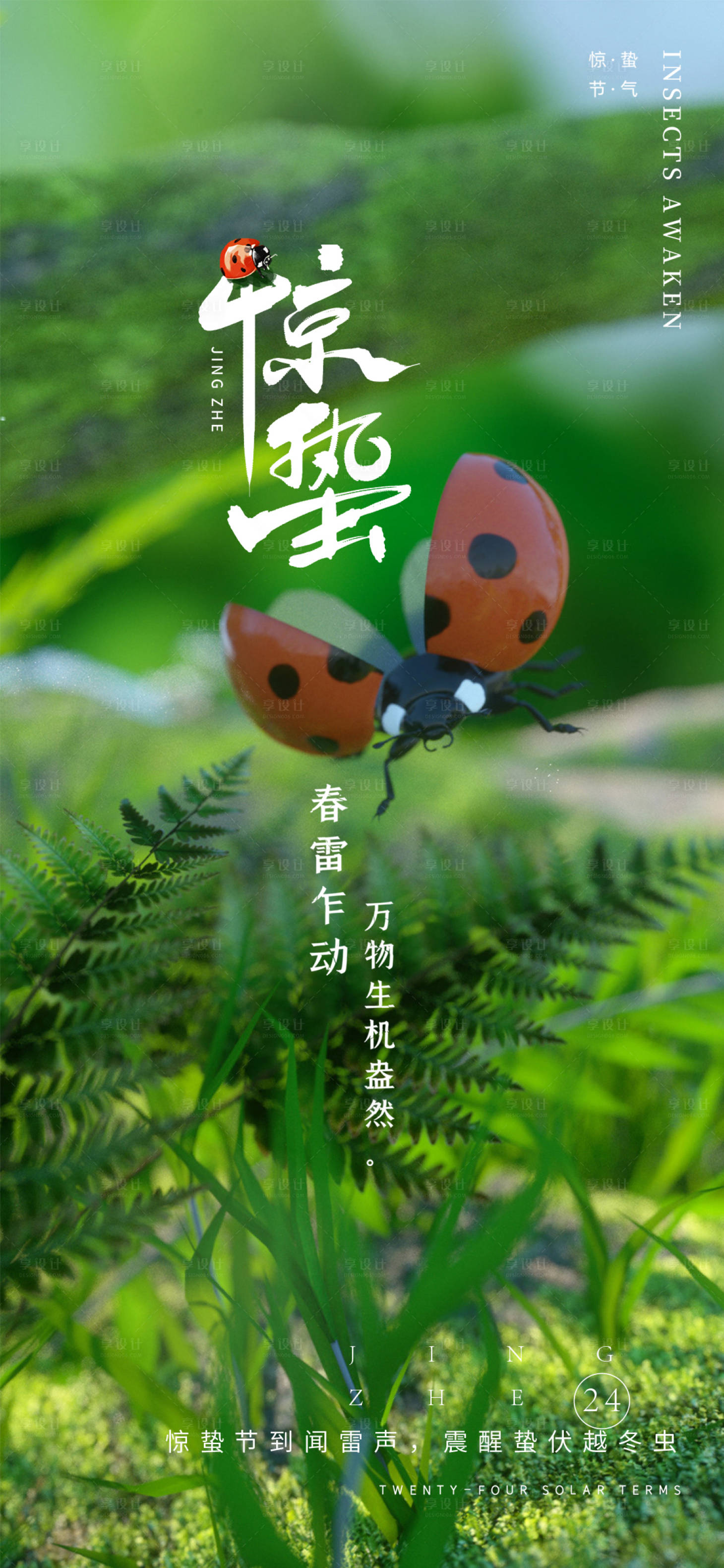 源文件下载【惊蛰海报】编号：92070014600002884