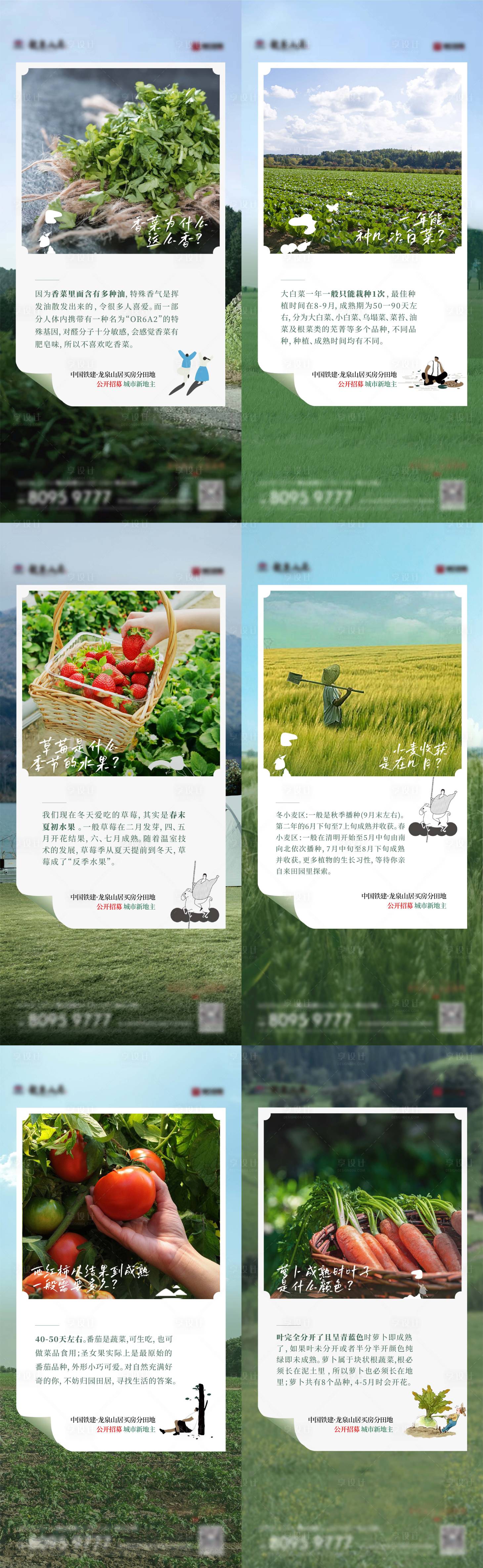 源文件下载【田园海报】编号：43680014924758976