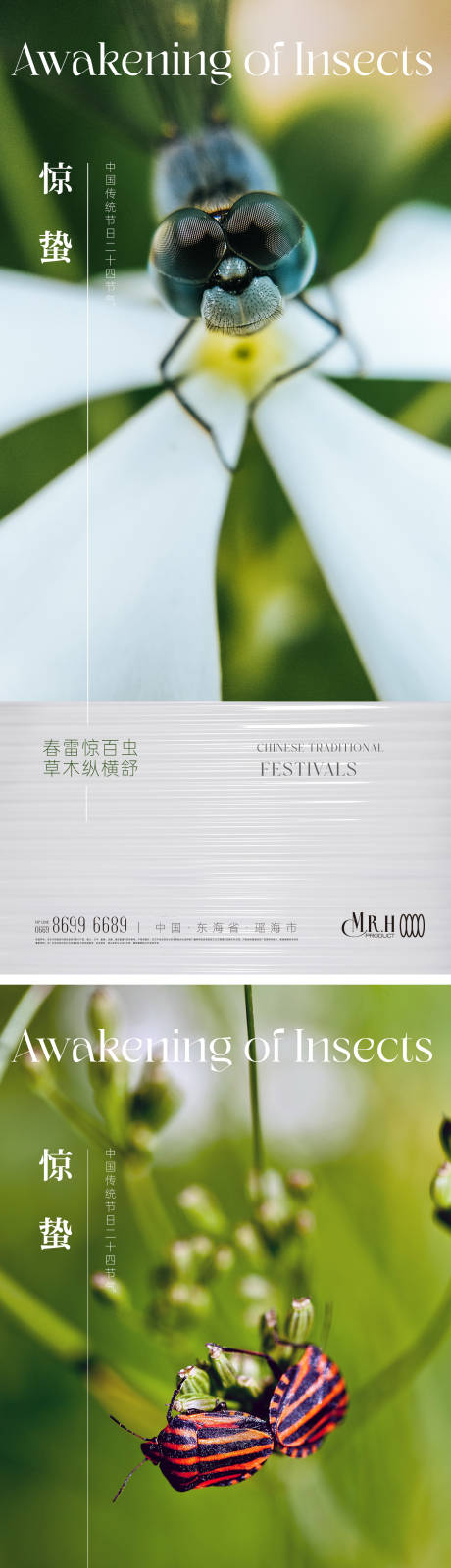 源文件下载【惊蛰海报 】编号：27360014995267754