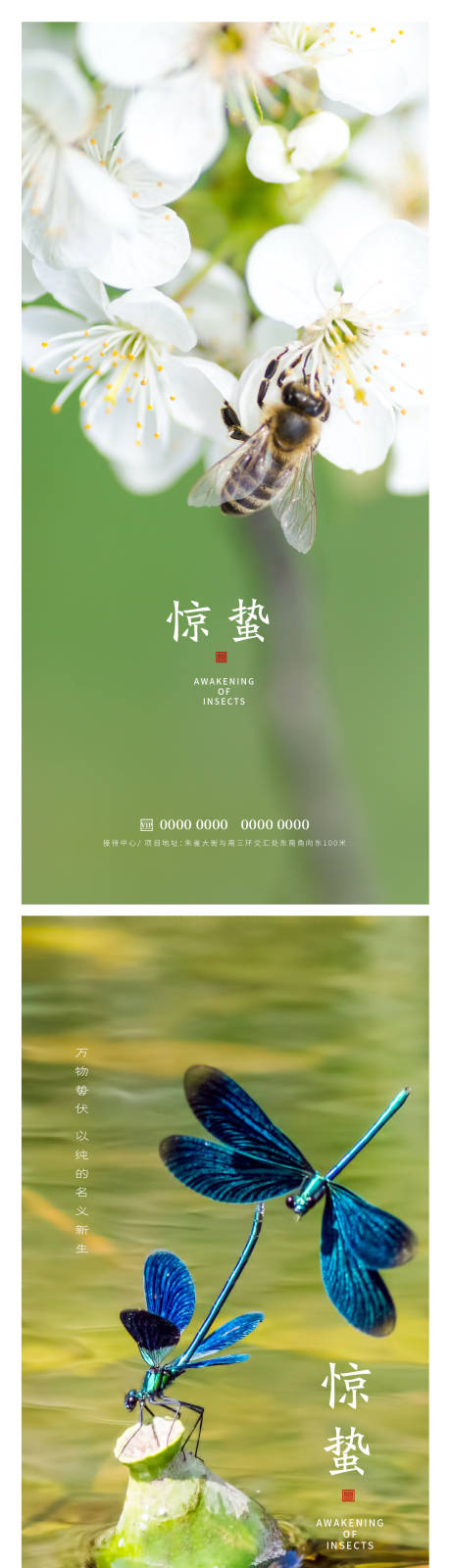 源文件下载【惊蛰节气海报】编号：67920014910228979