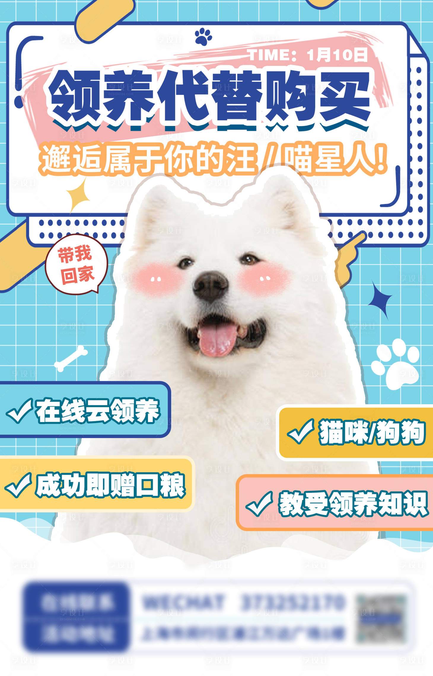 源文件下載【享設計】搜索編號：18940014981312261【萌寵寵物領養活動海報】