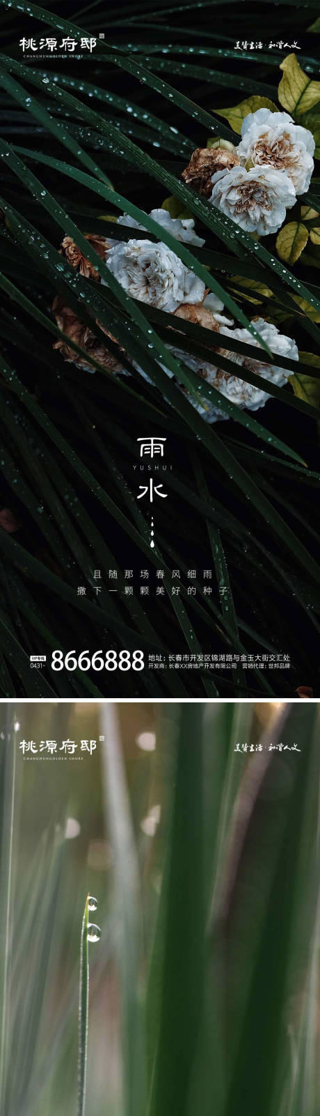 源文件下载【地产雨水节气海报】编号：84050014695545984