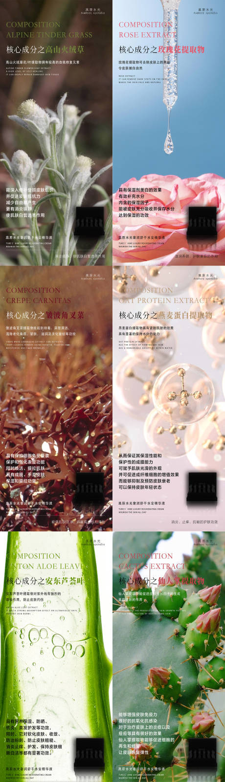 源文件下载【享设计】搜索编号：52620014584481335【美妆成分海报】