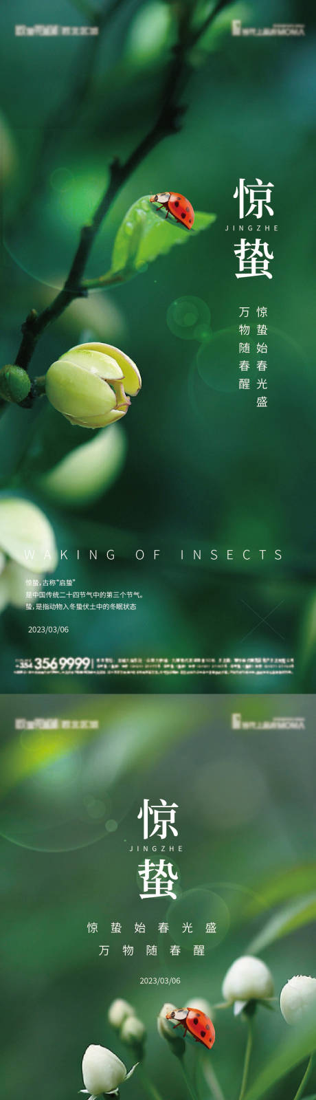 源文件下載【享設(shè)計(jì)】搜索編號(hào)：98530014986682893【驚蟄節(jié)氣海報(bào)】
