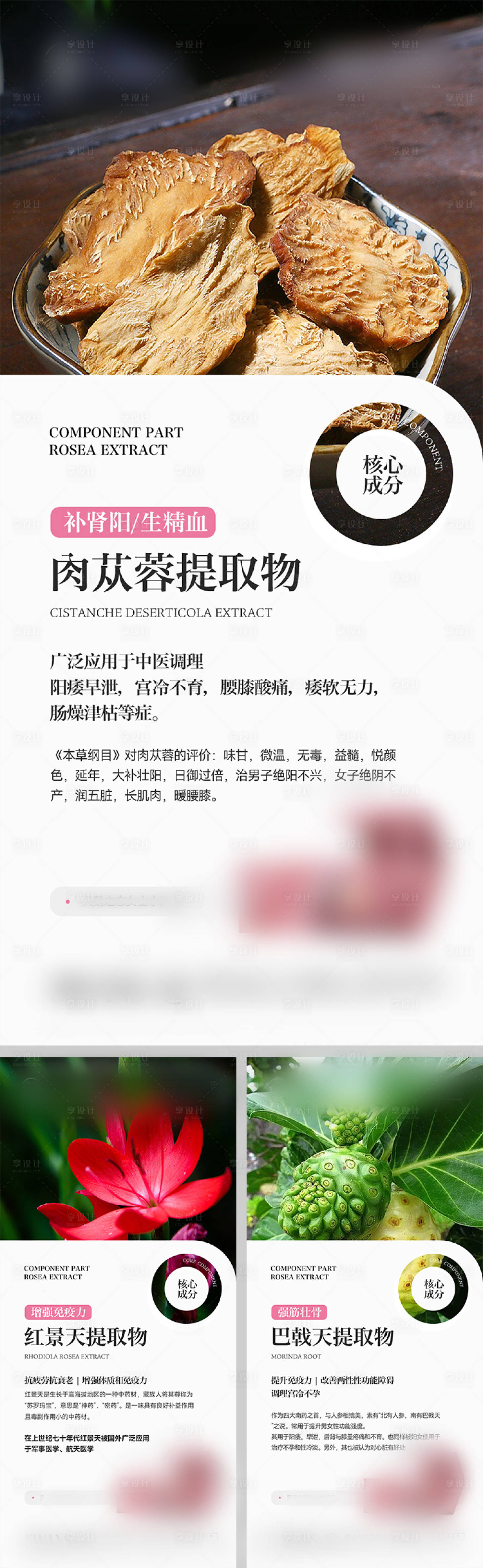 源文件下载【产品提取物宣传系列】编号：74720014766529960