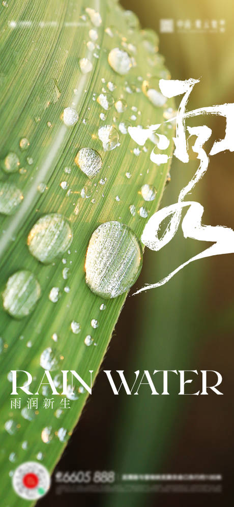 源文件下載【雨水節(jié)氣海報】編號：50310014770295427