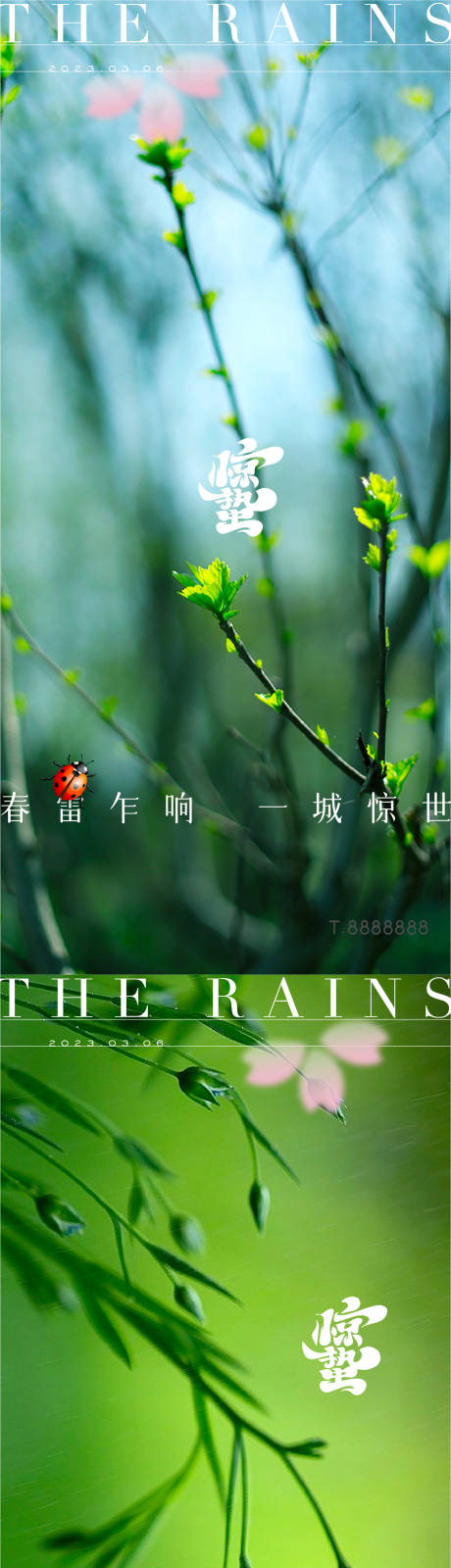 源文件下载【房地产雨水惊蛰节气海报传统二十四节气】编号：96540014632547478