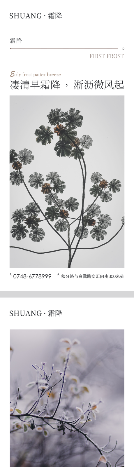 源文件下載【霜降節氣系列海報】編號：45760014987997282