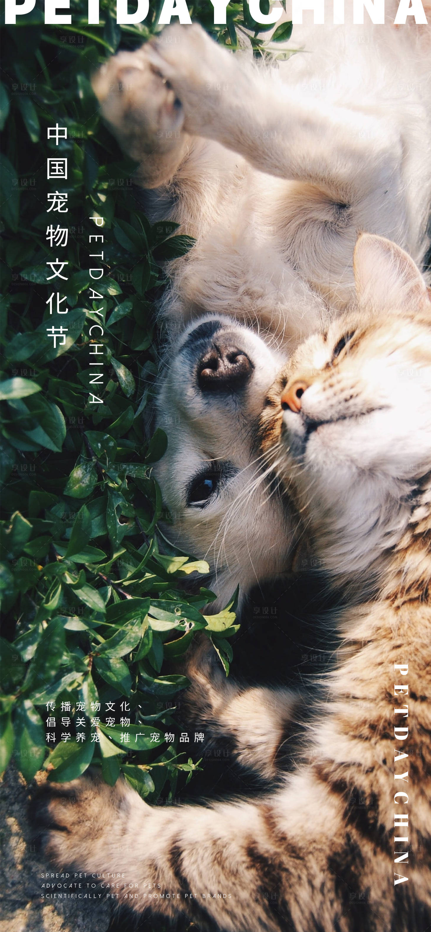 源文件下载【享设计】搜索编号：22150014477917407【中国宠物文化节海报】
