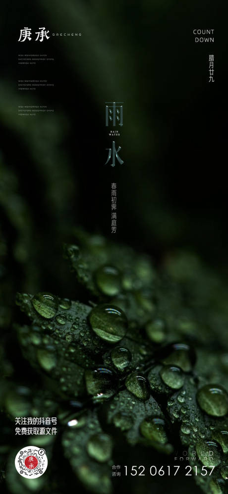 源文件下载【雨水绿叶海报】编号：20230208184917949