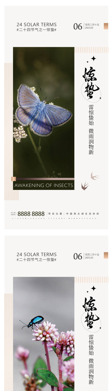 源文件下载【惊蛰二十四节气海报】编号：93310014782046756