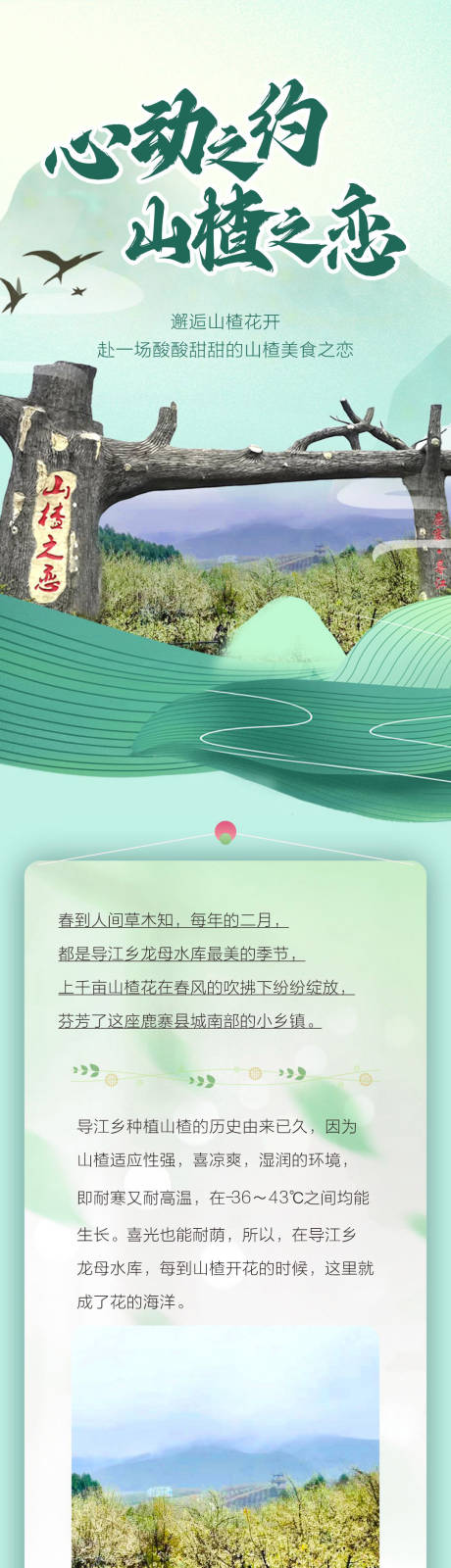 源文件下载【文化节长图】编号：10250014949951292