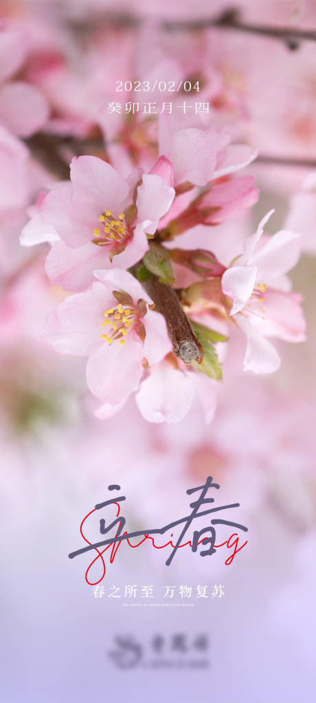 源文件下载【立春杏花海报】编号：16000014475671408