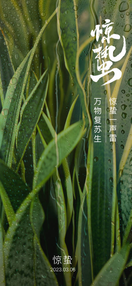 源文件下载【享设计】搜索编号：40420014852458099【惊蛰朋友圈海报】