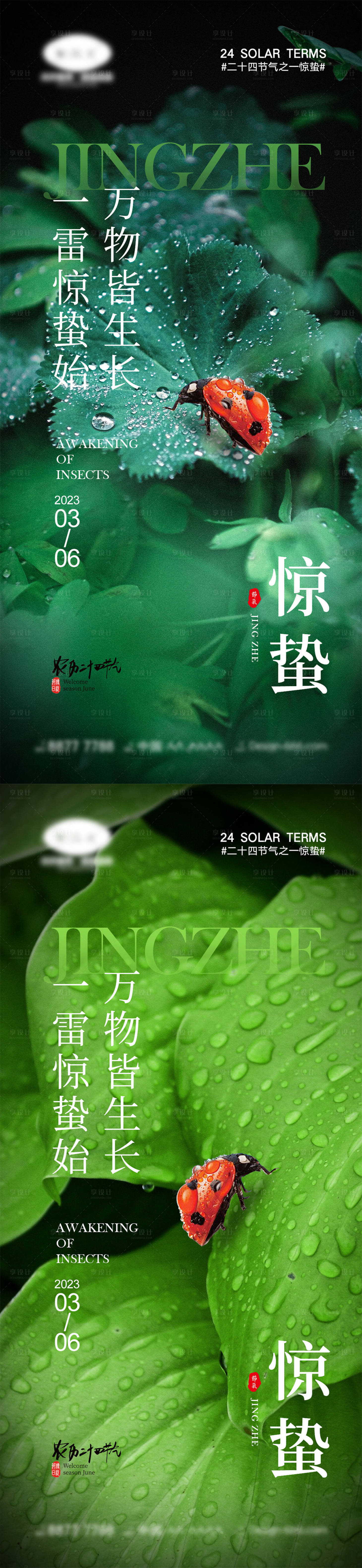 源文件下載【享設(shè)計(jì)】搜索編號(hào)：49650014632571919【驚蟄節(jié)氣海報(bào)】