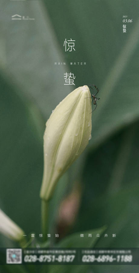 源文件下载【惊蛰海报】编号：67950014861392021