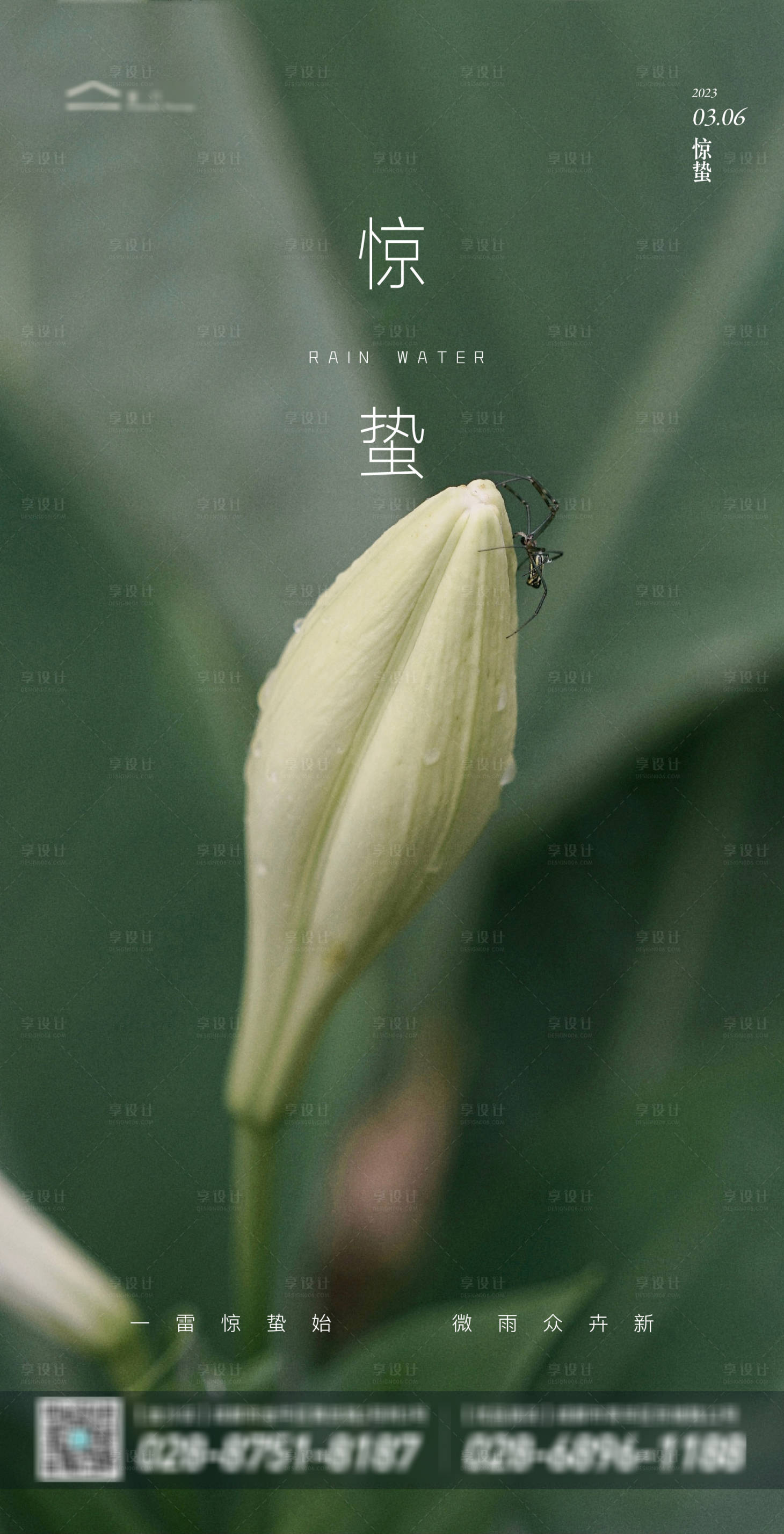 源文件下载【享设计】搜索编号：67950014861392021【惊蛰海报】