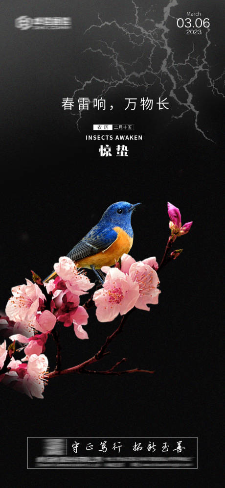 源文件下载【惊蛰海报】编号：94550014462218415