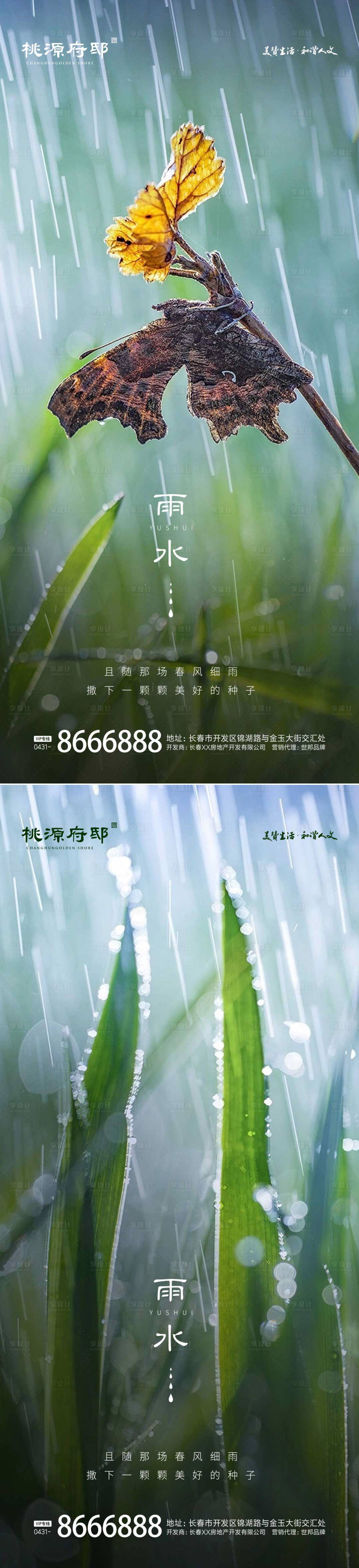 源文件下载【雨水白露节气海报】编号：12980014692299870