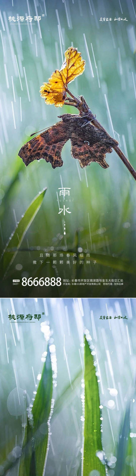 编号：20230213170052712【享设计】源文件下载-雨水白露节气海报