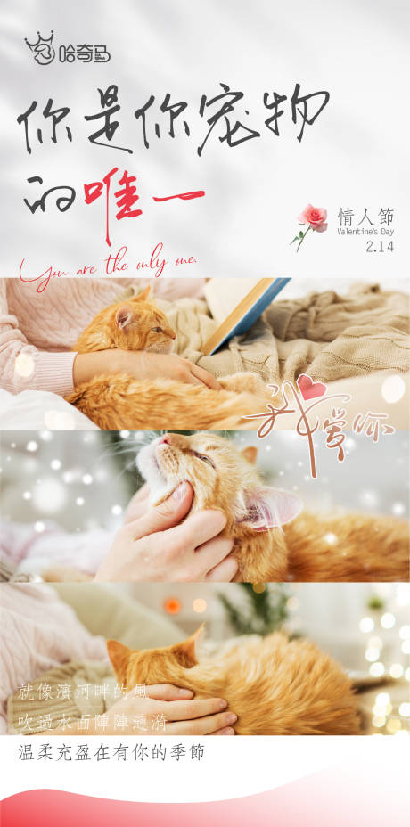 源文件下载【享设计】搜索编号：26470014613462882【宠物情人节海报】